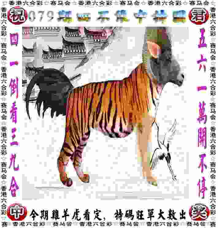 健康跑下月合肥开跑  即日起可在线报名